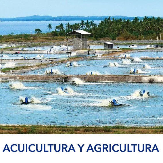 Agricultura y Acuicultura